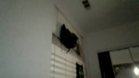 kinksexcumsee  17-06-2022